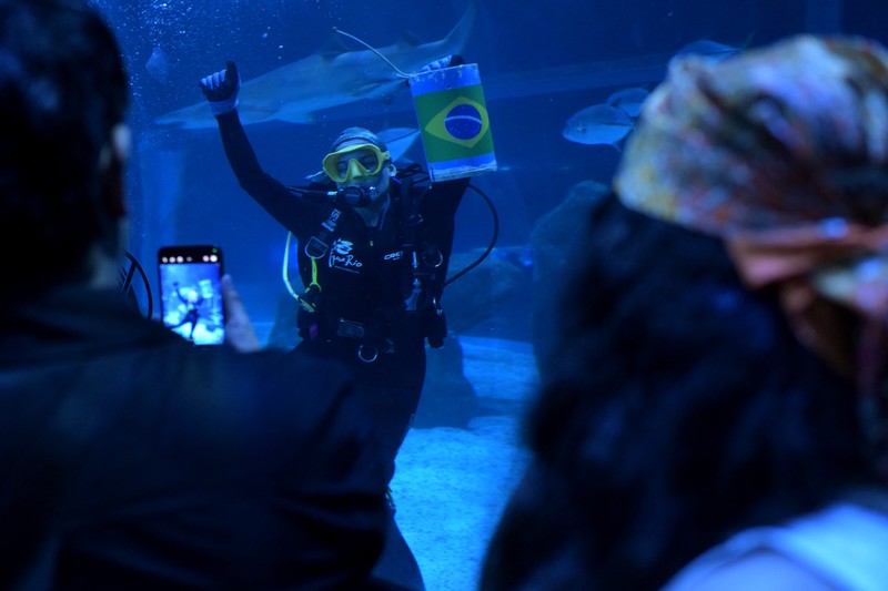 Soccer Football - FIFA World Cup 2026 - Shark predicts winner of Brazil v Haiti - AquaRio, Rio de Janeiro, Brazil - June 18, 2026 A shark at the AquaRio aquarium picks Brazil as the winner of Brazil against Haiti REUTERS/Tita Barros