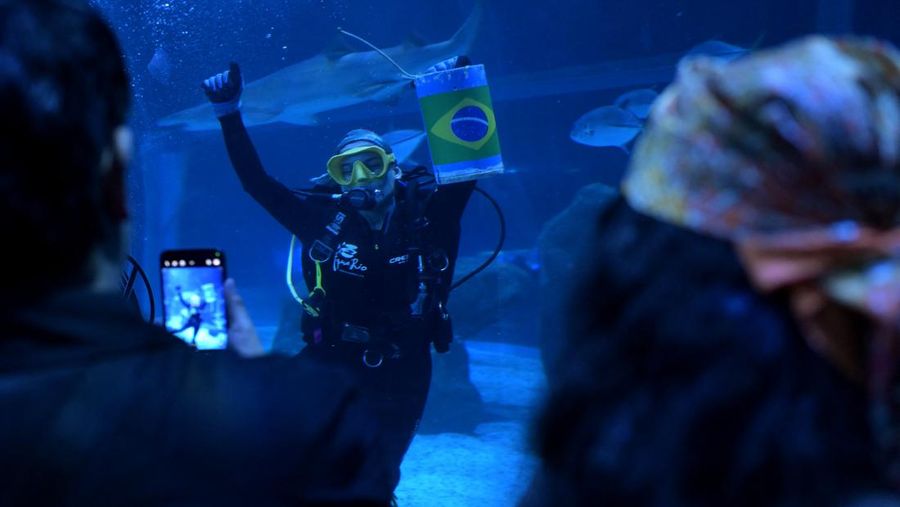 SOCCER-WORLDCUP/BRAZIL-SHARK