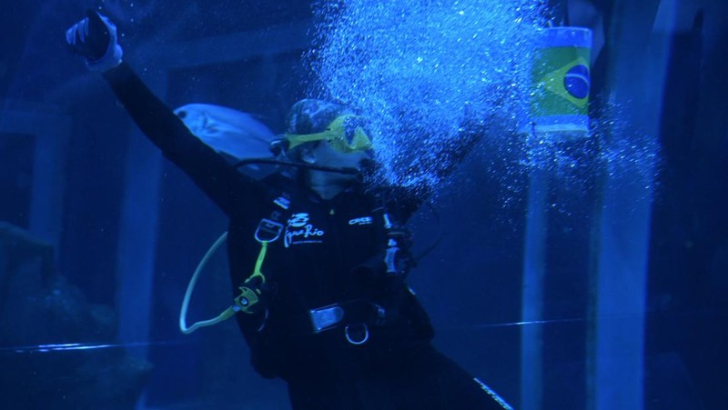 SOCCER-WORLDCUP/BRAZIL-SHARK