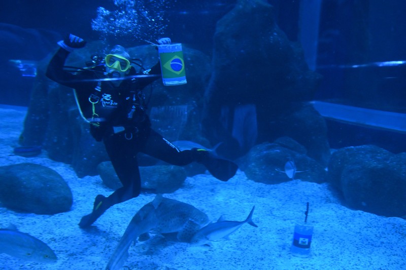 Soccer Football - FIFA World Cup 2026 - Shark predicts winner of Brazil v Haiti - AquaRio, Rio de Janeiro, Brazil - June 18, 2026 A shark at the AquaRio aquarium picks Brazil as the winner of Brazil against Haiti REUTERS/Tita Barros