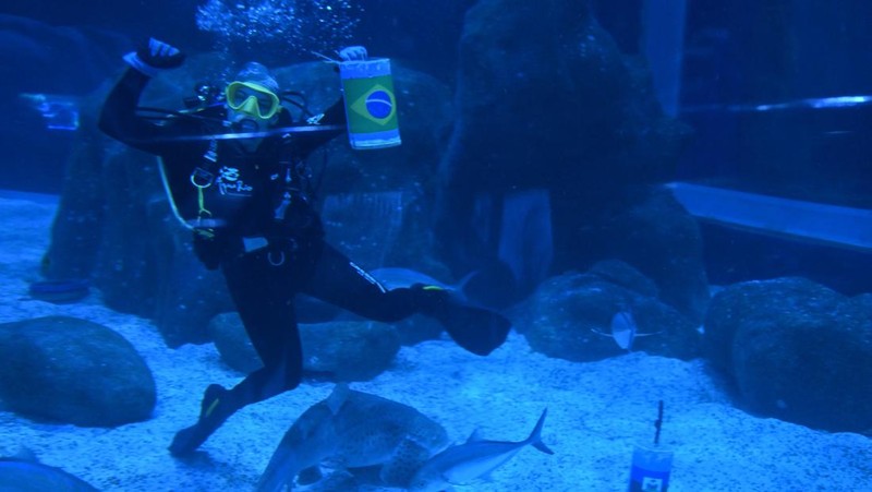SOCCER-WORLDCUP/BRAZIL-SHARK