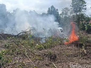 BMKG Deteksi 137 Hotspot di Kalteng, Kotim Paling Rawan Karhutla