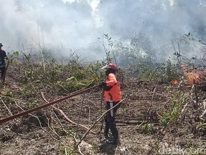 Anggaran Rp 50 Miliar Disiapkan untuk Karhutla Kalteng, Begini Alokasinya