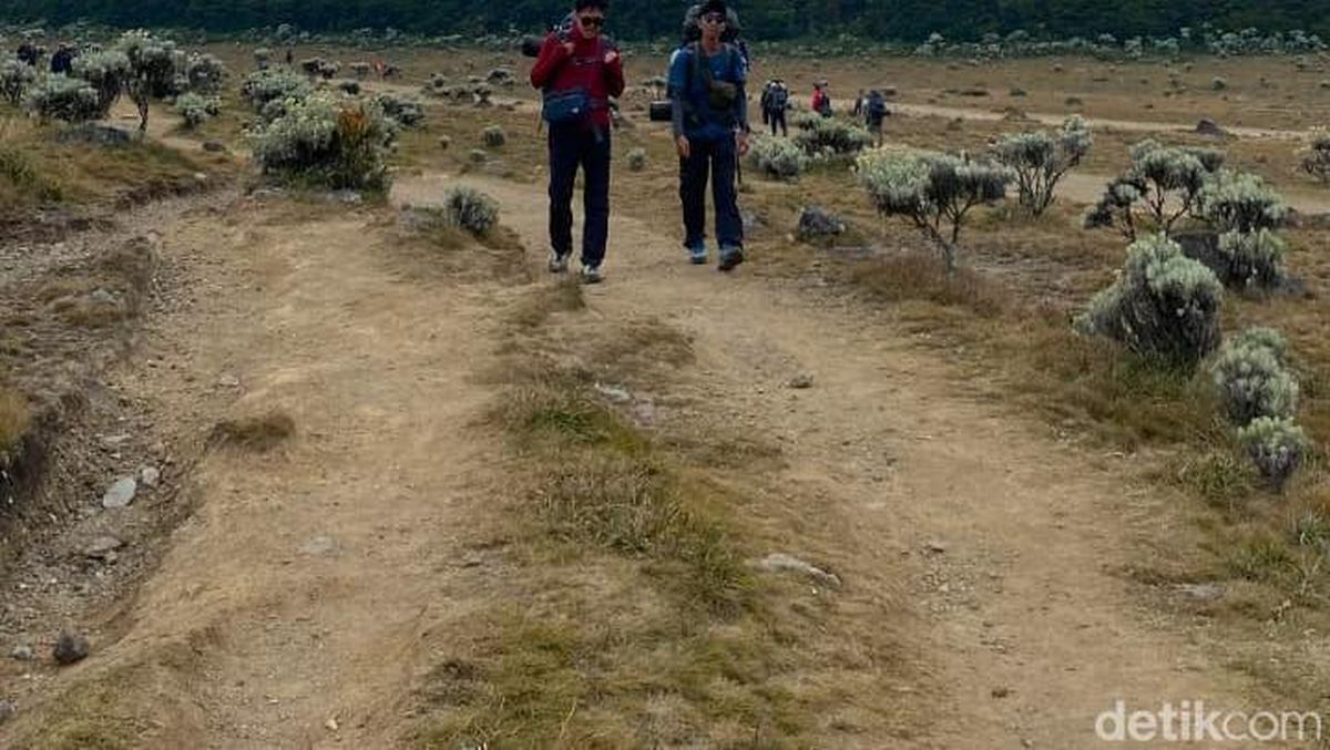 Cegah Karhutla, Penutupan Pendakian Gunung Gede Pangrango Diperpanjang