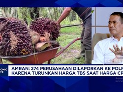 Amran Sulaiman Jamin PT DSI Bikin TransparanEkspor Sawit, Pajak Naik