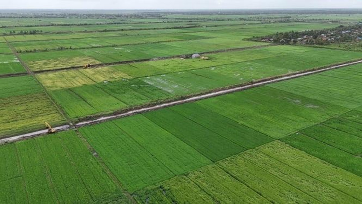 RI Masuk Klub Raksasa Pertanian Dunia, Kuasai 62% Pangan Global