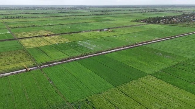 Petani di Merauke Sebut Harga Beras Kini Stabil dan Sama dengan di Jawa
