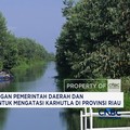 KLH Serta Masyarakat, Mengatasi Karhutla di Provinsi Riau