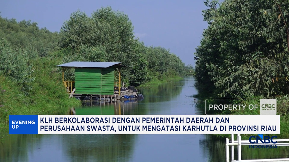 Video: KLH Serta Masyarakat, Mengatasi Karhutla di Provinsi Riau