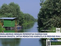 KLH Serta Masyarakat, Mengatasi Karhutla di Provinsi Riau