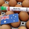 Sebuah tabung reaksi berlabel "Flu Burung", telur, dan selembar kertas berwarna bendera nasional Australia. (REUTERS/Dado Ruvic/Illustration//File Foto)