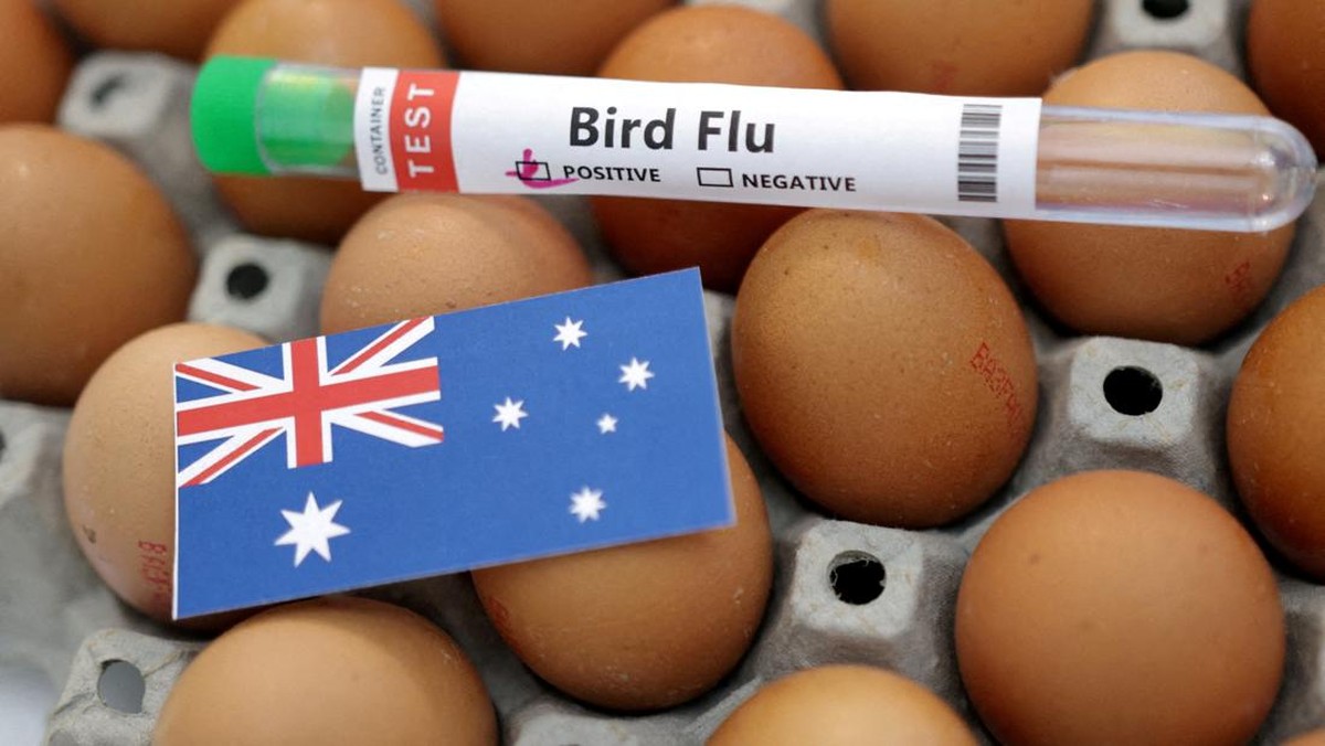 Australia Temukan Kasus Pertama Flu Burung H5N1