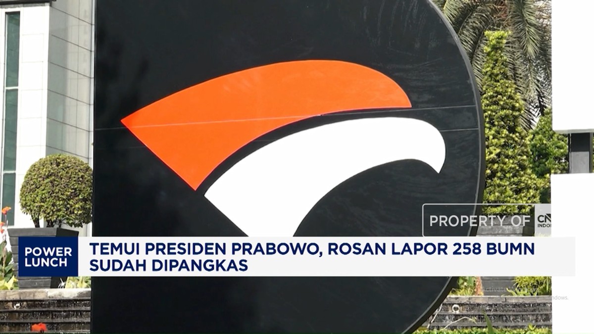 Temui Presiden Prabowo, Rosan Lapor 258 BUMN Sudah Dipangkas