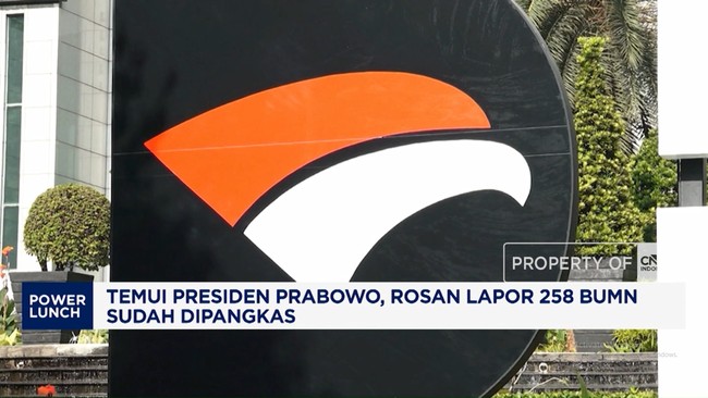 Temui Presiden Prabowo, Rosan Lapor 258 BUMN Sudah Dipangkas