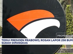 Temui Presiden Prabowo, Rosan Lapor 258 BUMN Sudah Dipangkas