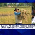 Cetak 1 Juta Sawah di Papua-Sumatra, Jurus RI Jaga Keberlanjutan Swasembada Pangan