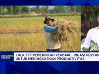 Cetak 1 Juta Sawah di Papua-Sumatra, Jurus RI Jaga Keberlanjutan Swasembada Pangan