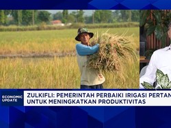 Cetak 1 Juta Sawah di Papua-Sumatra, Jurus RI Jaga Keberlanjutan Swasembada Pangan