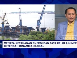 Komisi XII Bicara Soal Rencana RI Bentuk Bursa Mineral - Prospek Mineral Kritis