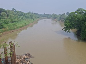 Sungai Ciujung Diduga Tercemar, Dinas LH Serang Bakal Panggil Industri