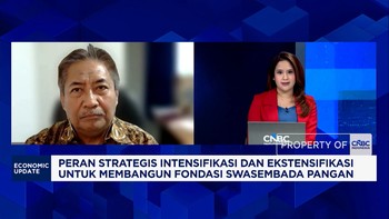 Nyontek Vietnam, Perhepi Ungkap Syarat Swasembada Pangan Berkelanjutan