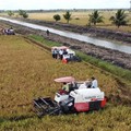 Program cetak sawah dan optimasi lahan di Kabupaten Merauke. (Dok. Kementan)