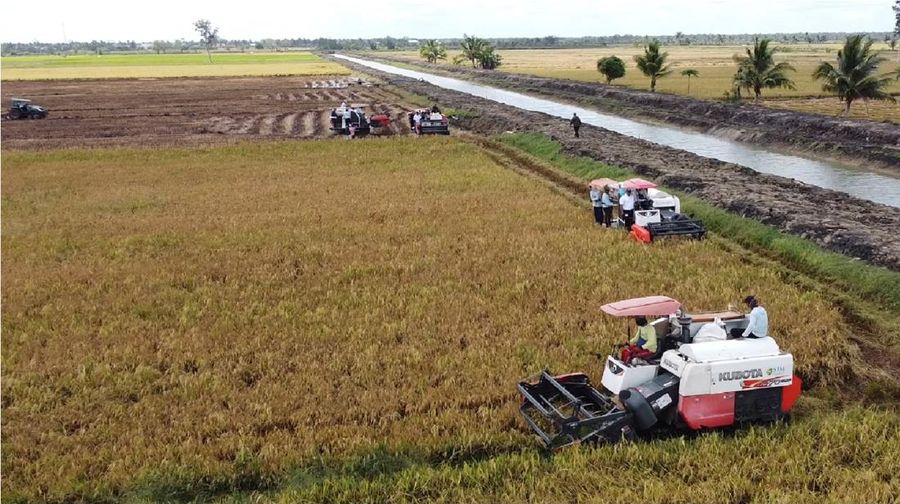 Program cetak sawah dan optimasi lahan di Kabupaten Merauke. (Dok. Kementan)
