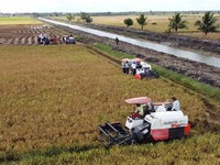 Program cetak sawah dan optimasi lahan di Kabupaten Merauke. (Dok. Kementan)