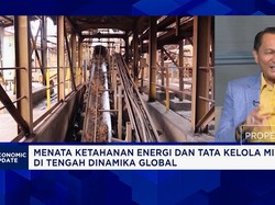 Soal Pengelolaan Logam Tanah Jarang, Komisi XII Sebut Tak Boleh Sembarangan