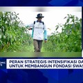 Syarat Swasembada Pangan Berkelanjutan: Petani Harus Utung