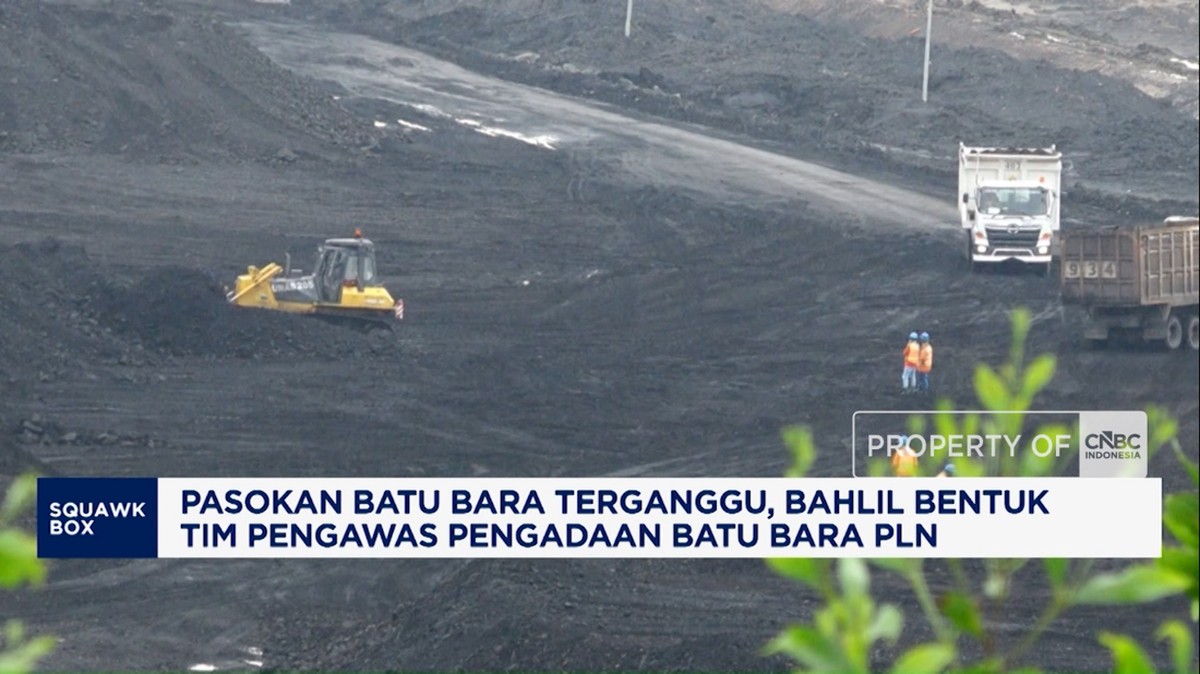 Video: Bahlil Bentuk Tim Pengawas Pengadaan Batu Bara PLN
