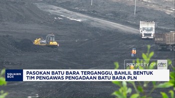 Bahlil Bentuk Tim Pengawas Pengadaan Batu Bara PLN