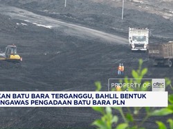 Bahlil Bentuk Tim Pengawas Pengadaan Batu Bara PLN