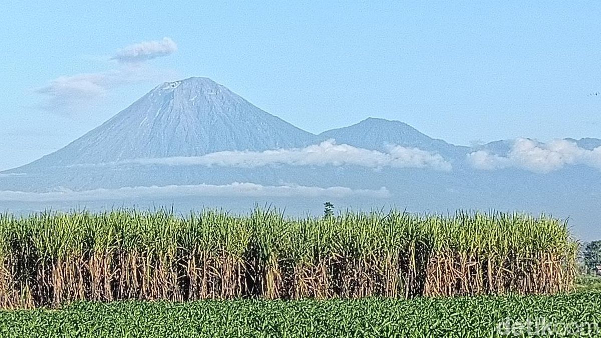 Status Siaga! Semeru 2 Kali Luncurkan Guguran Lava Pijar Sejauh 1,2 Km