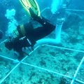 Lebih dari 150 bangkai kapal ditemukan di bawah perairan Gibraltar. (Tangkapan layar FOX Media)
