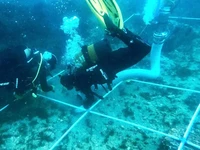 Lebih dari 150 bangkai kapal ditemukan di bawah perairan Gibraltar. (Tangkapan layar FOX Media)