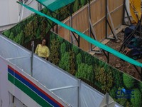 Warga berjalan kaki melewati trotoar darurat yang didekorasi menyerupai lorong taman labirin di atas kawasan proyek pengembangan kawasan Stasiun MRT Bundaran Hotel Indonesia, Jakarta, Rabu (24/6/2026). (CNBC Indonesia/Faisal Rahman)