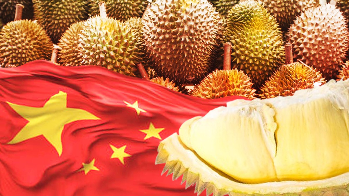 Durian Bisa Jadi Mesin Devisa Baru RI, China Siap Menampung