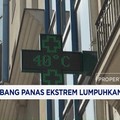 Gelombang Panas Ekstrem Lumpuhkan Eropa