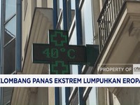 Gelombang Panas Ekstrem Lumpuhkan Eropa