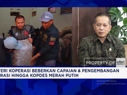 Menuju Target Ekonomi Prabowo 8%, Bisnis Koperasi Diperluas ke Tambang - Sawit