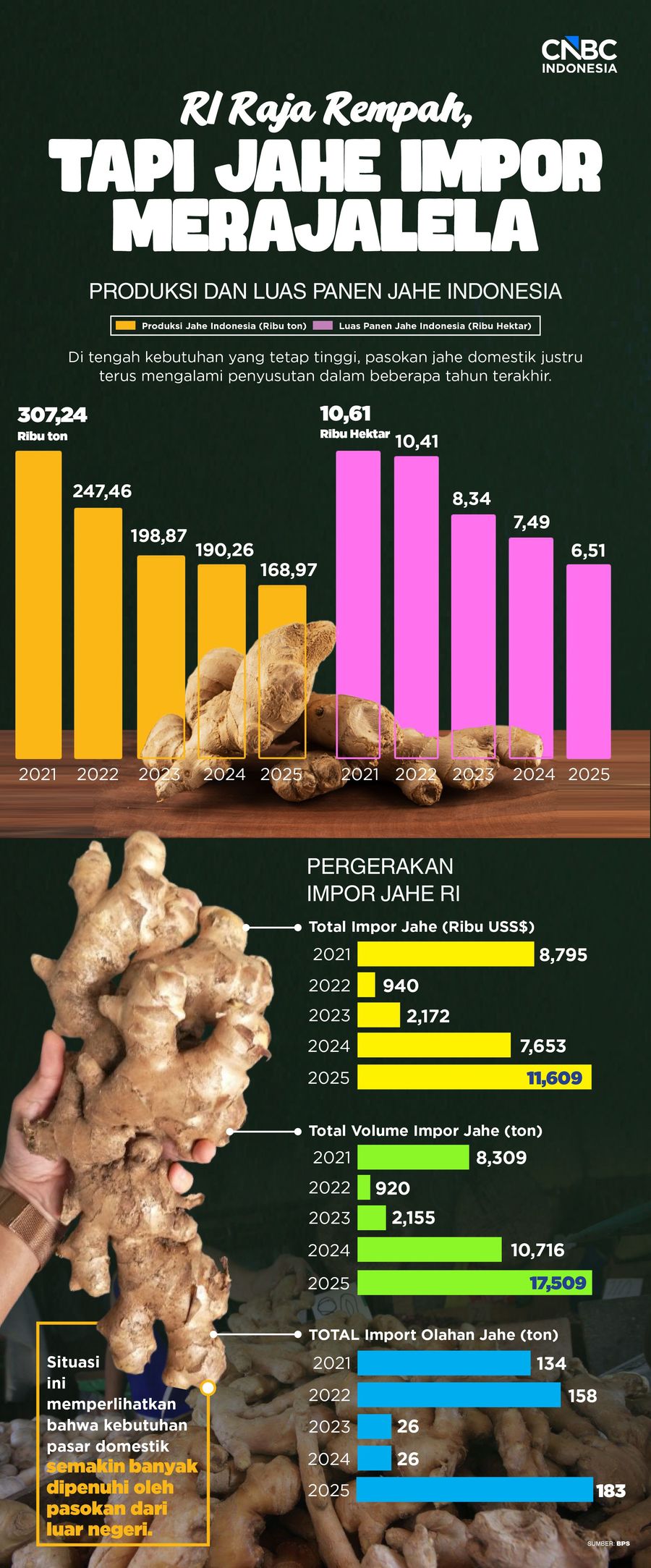 RI Raja Rempah, Tapi Jahe Impor Merajalela