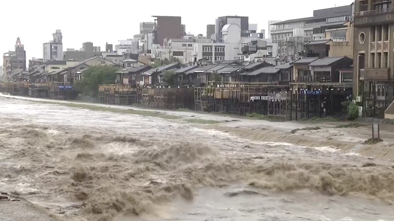 Sungai Kamo yang menjadi salah satu ikon Kota Kyoto meluap pada Jumat (26/6/2026) akibat hujan deras yang mengguyur wilayah tersebut.