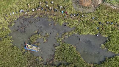 Aksi Bersih Eceng Gondok Jaga Kelestarian Sungai Citarum