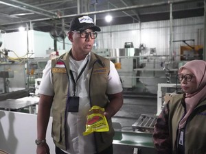 Bulog Usut Biang Kerok Minyakita Bau Solar