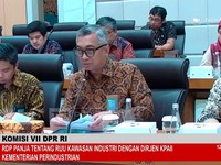 Dirjen Ketahanan, Perwilayahan, dan Akses Industri Internasional (KPAII) Kemenperin Tri Supondy dalam Rapat Dengar Pendapat (RDP) dengan Panja  RUU Kawasan Industri Komisi VII DPR RI, Senin (29/6/2026). (Tangkapan Layar YouTube)