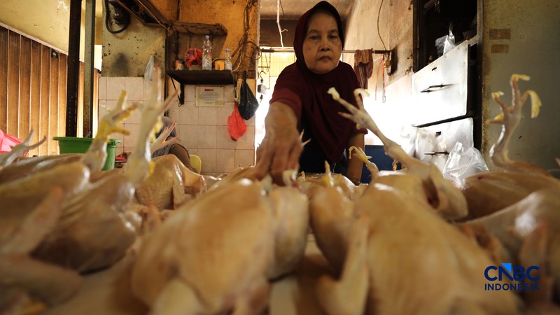 Harga ayam di penjual turun drastis ke angka Rp 13.000/kg di pasar Kebayoran Lama, Jakarta, Senin (29/6/2026). (CNBC Indonesia/Tri Susilo)