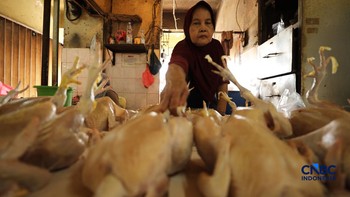 Harga ayam di penjual turun drastis ke Rp 13.000/kg di pasar Kebayoran Lama, Jakarta, Senin (29/6/2026). (CNBC Indonesia/Tri Susilo)