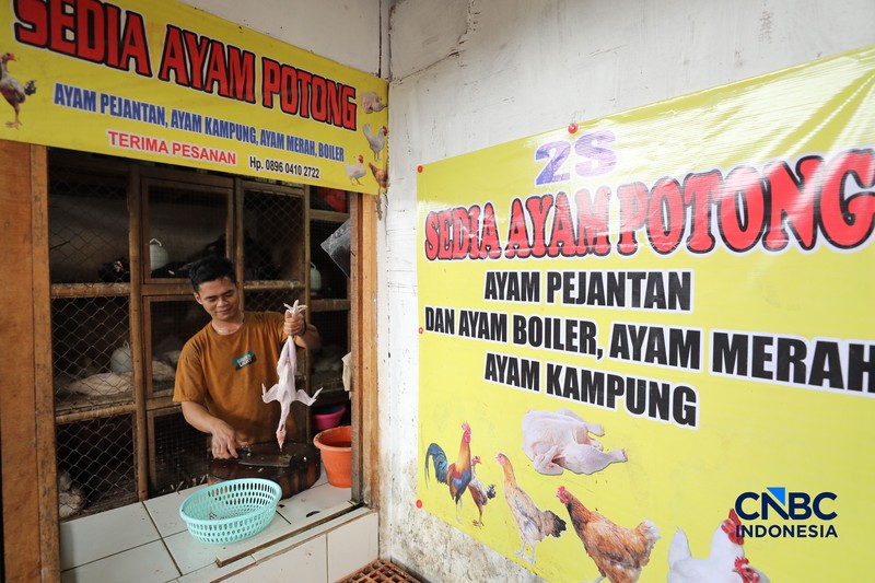 Harga ayam di penjual turun drastis ke angka Rp 13.000/kg di pasar Kebayoran Lama, Jakarta, Senin (29/6/2026). (CNBC Indonesia/Tri Susilo)