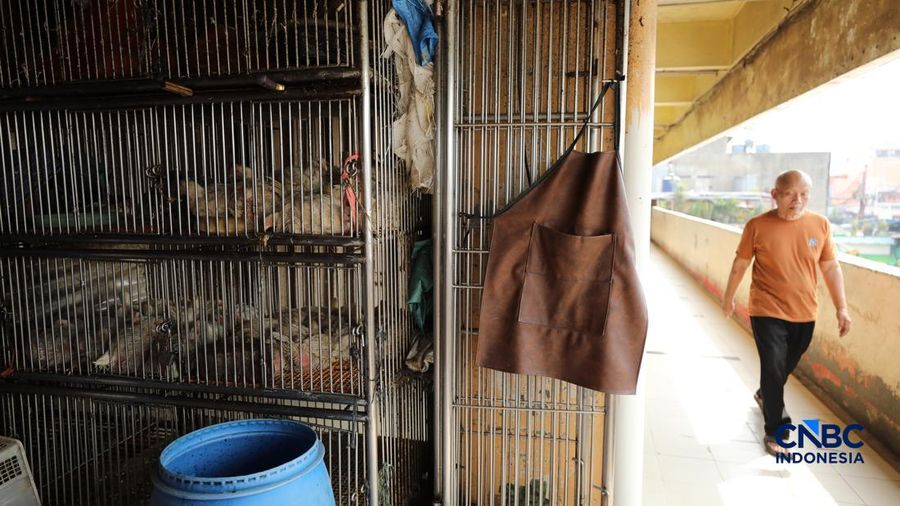 Harga ayam di penjual turun drastis ke angka Rp 13.000/kg di pasar Kebayoran Lama, Jakarta, Senin (29/6/2026).